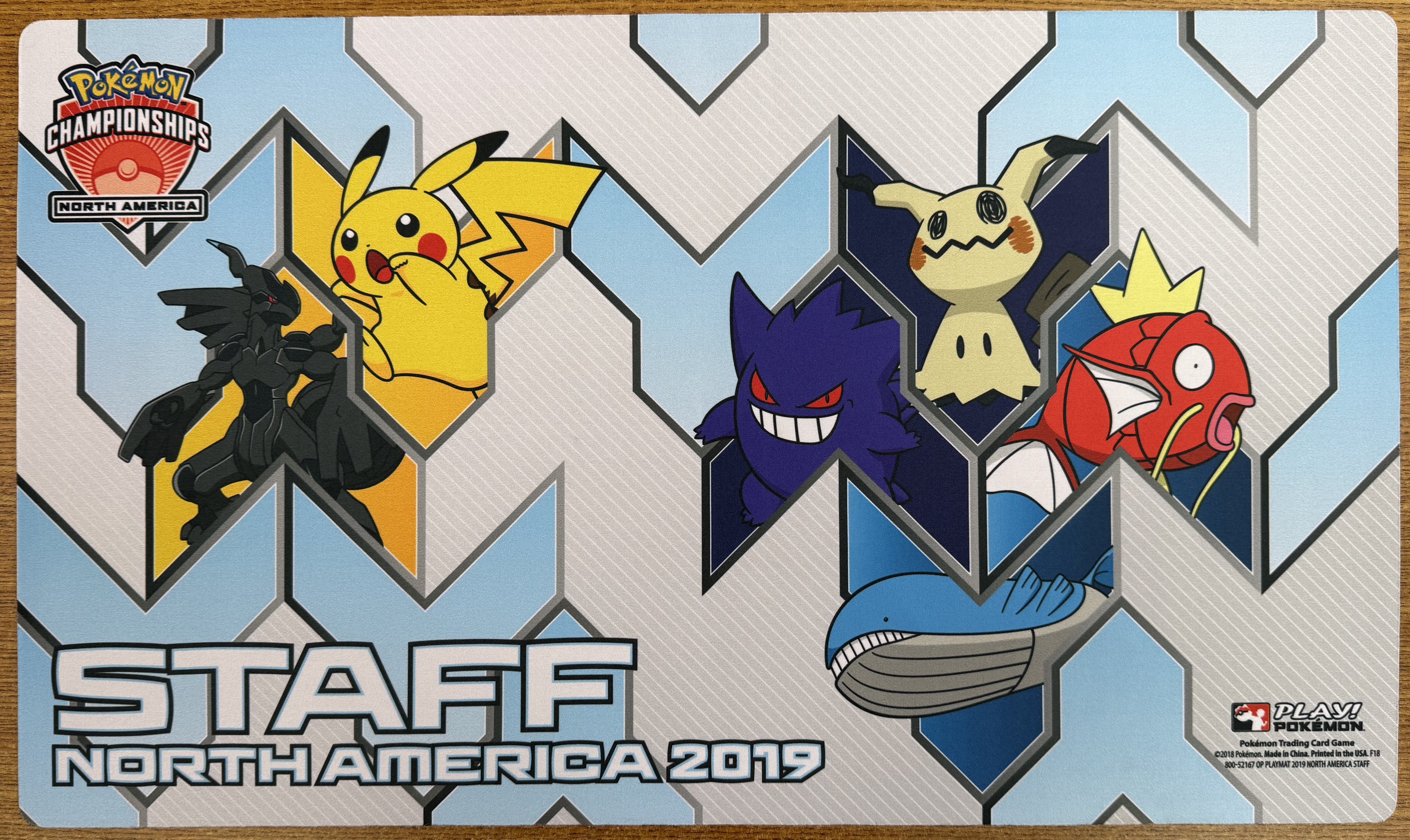 2019 NAIC Staff Playmat